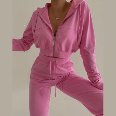 China Custom Anti-Wrinkle Logo Hoodie Sweatpants Plain Tracksuit Two Piece Pants Jogger Set 2 Piece Set Women for sale