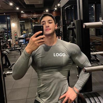 China QUICK DRY Men's Slim Fit Gym Long Sleeve T-Shirt Long Sleeve T-Shirt Gym Slim Fit Fiber Polyester Top for sale