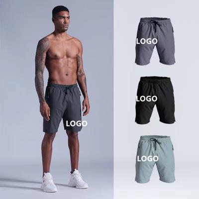 China Best Selling QUICK DRY Summer Runinng Thin Shorts Shaping Gym Quick Dry Outdoor Shorts For Men for sale