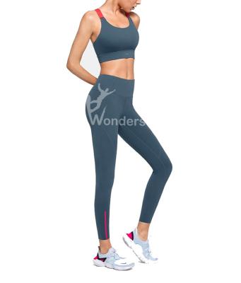 China Women's Sport Bra Beauty Back Yoga High Waist Sport Leggings Quick Drying for sale