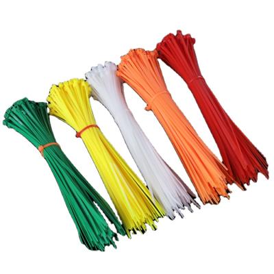 China Reverse Teeth Factory Directly Wholesale Fasten Colorful Cable Ties For Nylon for sale