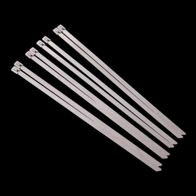 China Electrical Applications Quantity Production 304 / 316 Hardware Tie Down Stainless Steel Cable Tie for sale