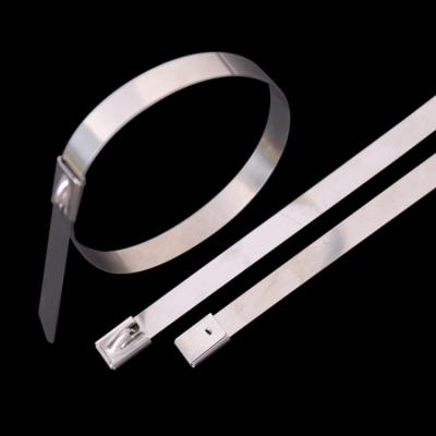 China OEM/ODM Electrical Applications Direct Tie Outlet High Quality Reusable Stainless Steel Cable Tie Zip Tie Pole Clamp for sale