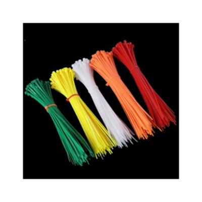 China Knocked Down Teeth Unique Design Quality Assurance Hot Sale Multifunctional Cable Tie Tag for sale