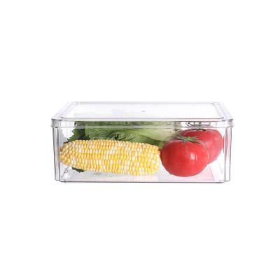 China Custom Kitchen Vegetable Refrigerator Fruit Refrigerator Crisper Kitchen Storage Box OEM/ODM Logo Household Storage Box for sale