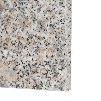 China Modern Professional Manufacturer Granite Slab 60x60 Polished Granite Slabs Factory Price Granite Tiles for sale