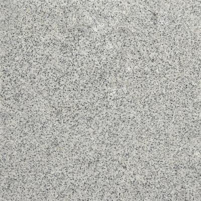 China Modern Factory Price Customized Size G603 Granite Floor Tile Luxury Wall Panel For Interior for sale