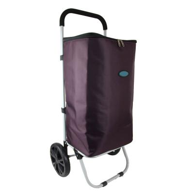 China Hot Sales Strong Folding Wheels Stair Trolley Climbing Shopping Box Keeps Things Cold Or Hot for sale