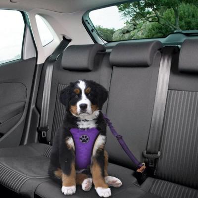 China Reflective Ready To Board Dog Car Harness 2 Pack Bungee Adjustable Elastic Pad Seat Belt Nylon Pet Car Seat Belt for sale