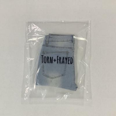 China Eco - Friendly Printing Custom Logo Style Factory Price Transparent Zipper Bag for sale