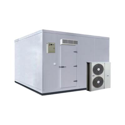 China Custom Size Room Refrigerator Cooling Storage Frozen Food Container Cold Room for sale