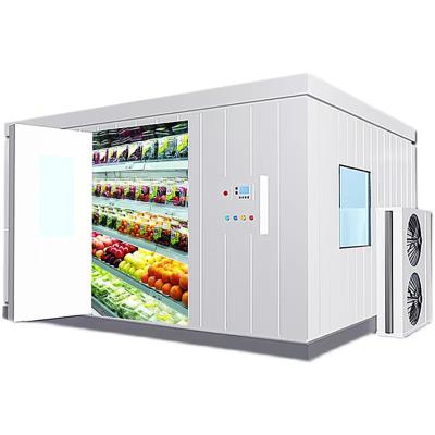 China Custom Cold Storage Container Fruit And Vegetable Preservation Cold Storage Special Price Customer Sliding Cold Storage for sale