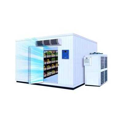 China High Quality Container Cold Storage Refrigeration System Meat And Fish Freezing And Refrigerating Room for sale