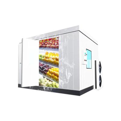 China Custom Container Size Refrigeration Equipment For Storing Fresh Vegetables And Fruits In Cold Room Coolers for sale