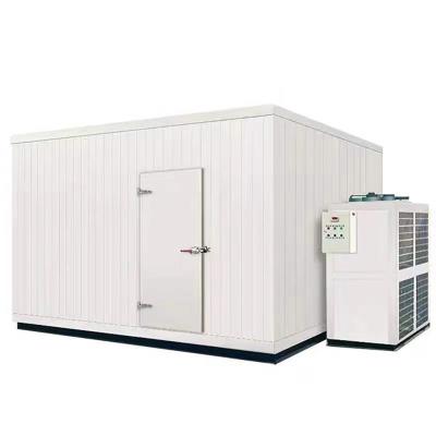 China High Quality Cold Storage Cabinet Mobile Container Cooling System Container Cold Room for sale