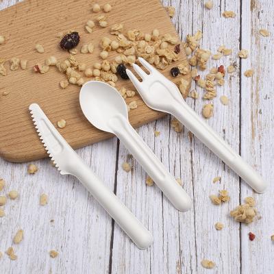 China High Quality Biodegradable Sugarcane Fiber Flatware Flatware Sets BG-C201K/202F/203S for sale