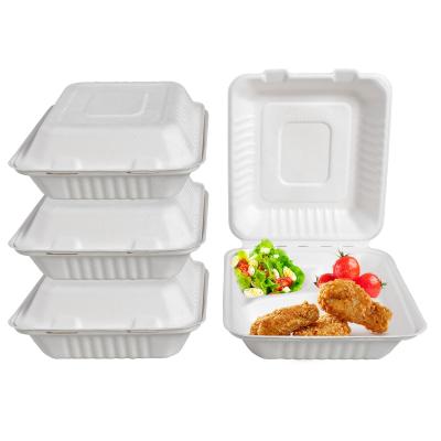 China Japanese Bagasse Fiber 100% Biodegradable Bento Box Sugarcane Clamshell Food Container - Three Compartment Takeout Food Box for sale