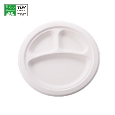 China Disposable Divided Bagasse Sugar Cane Tray 3 Compartment Bagasse Compostable Dishes for sale