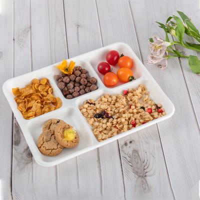 China Disposable 5 Compartment Sugar Cane Disposable Bagasse Dishes Fast Food Box Container Tray for sale