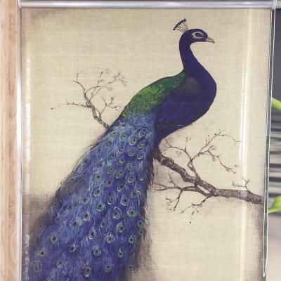 China Traditional Haoyan 3d high-definition printing peacock paper roller blinds for sale