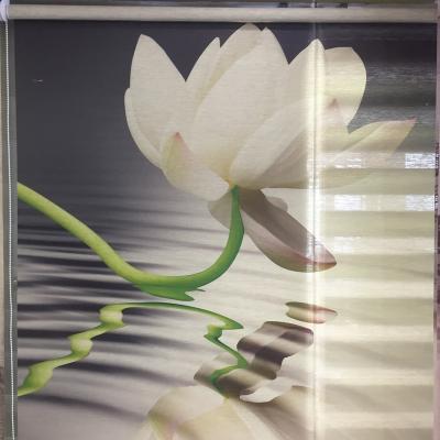 Китай Traditional Haoyan High Quality 3D Printing  Roller Blinds With Custom Made продается