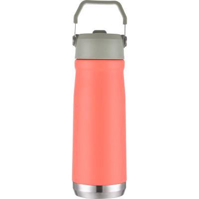 China Newly Fashion Design 17oz PORTABLE Stainless Steel Vacuum Insulated Water Bottle With Handle for sale