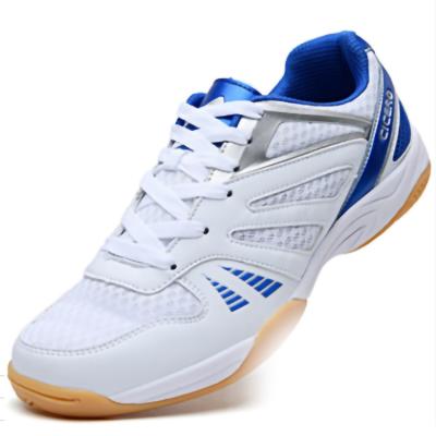 China Newest Design Chinese Sneakers Professional Sports Shoes Ping Pong Shoes for sale