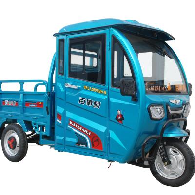 China 48V 800W electric cargo truck electric tricycle cargo tricycle cargo for sale for sale