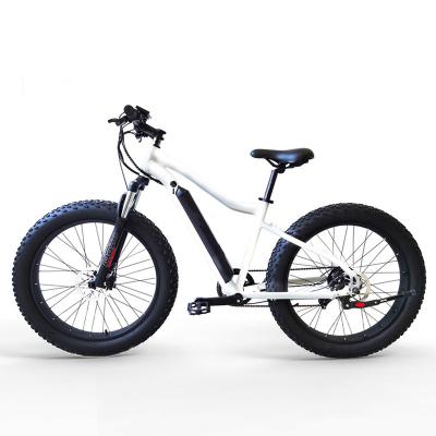 China Factory supply fat tire light modern electric folding bicycle electric bicycle for sale