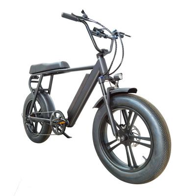 China Aluminum Alloy 20 Inch Fat Tire E-Bike 500W Shock Absorbing Mountain Electric Bike for sale