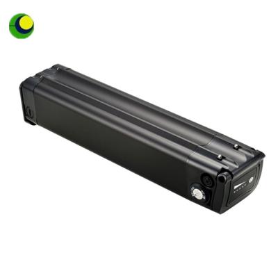 China Electric Bike Black Fish 48V 20Ah Lithium Ion Battery Pack For Electric Bike for sale