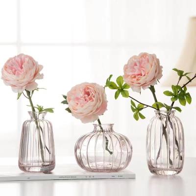 China Creative Eco-friendy Small Glass Mini Hydroponic Green Vase Set Tabletop Flower Bud Decoration Vase for sale