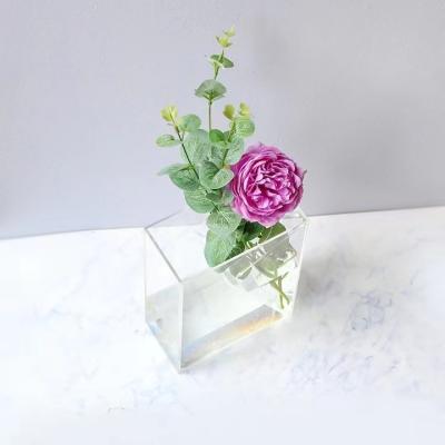 China Simple Art Deco New Clear Vase Acrylic Flower Arrangement Decoration Aquatic Plant Container for sale