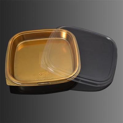 China Handmade Simple Clear Gold Square Mini Cake Box With Lids Clear Plastic Cupcake Blister Moon Cake Box KCCB for sale