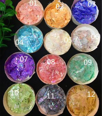 China Berry Shell Nail Art Fragments Natural Ultra-Thin, Color Shell Fragments (1Kg of 12-Color Bohai Beauty Nail Art Products Per Pack) for sale