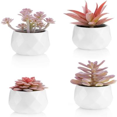 China Festival Decoration 4pcs White Ceramic Pots Artificial Succulent Plants For Home Office Living Room Decoration for sale