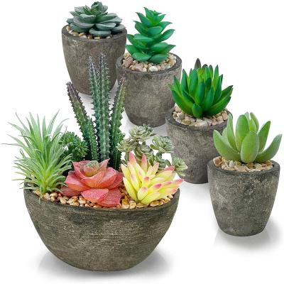 China Festival Decoration Artificial Succulents Plants Potted Assorted For Home Office Living Room Table Decoration for sale