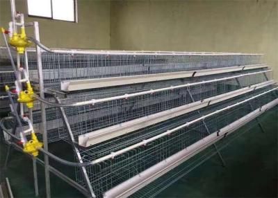 Chine Type cage de Q235 A de poulet de couche à vendre