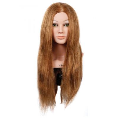 China Other Chinese Factory Hair Training Mannequin Heads Dummy Head Wigs Cheap Price for sale