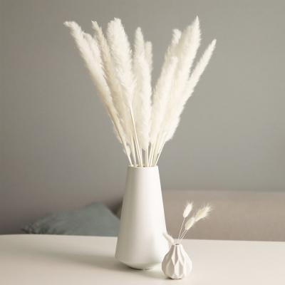 China Home Decorative Indoor Dry Natural Pampas Grass Artificial Wedding Green White Environmental Protection Christmas Flower Bouquets for sale