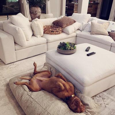 China Comfortable Convertible Modern Sectional Sofa Material Cloud Restorian Couch With Footstool for sale