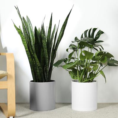 China Wholesale Modern Pots Decorative Viable Elegant Succulent Planting Mini Indoor Planter Planter for sale