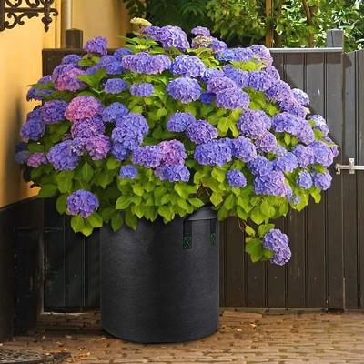 China Waterproof 5 7 Gallon Breathable Nonwoven Planter Potato Growing Gags for sale