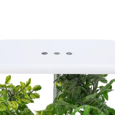 China American Style Top Quality Hydroponics Growing System with LED Grow Light and Smart Garden Planter for Home Kitchen, Auto Timer for sale