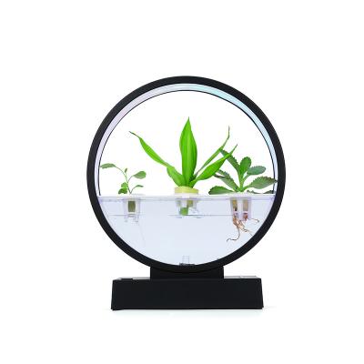 China Modern Indoor Decorations 2023 Water Growing System Desktop Decoration LED Light Plant Planting Desktop Kit Display Kit for sale