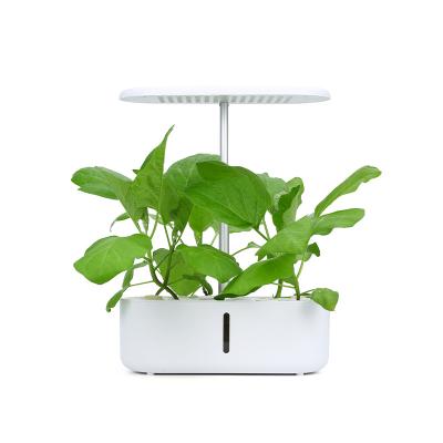 China 2023 American Style Hydroponic Desktop Hot Selling Intelligent Planting System for Fruit and Vegetable Hydroponic Growing System for sale