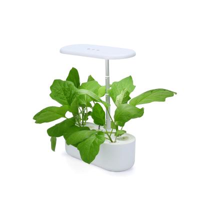 China 2023 American Style Hydroponic Fruit Planting Culture Flower Soilless Planting for sale