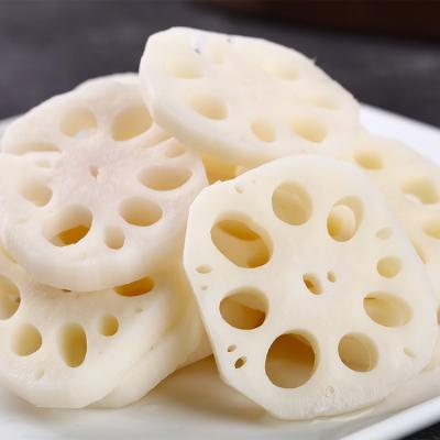 China New Fresh Culture Vegetable Clean Water Lotus Root Fresh Lotus Root Sliced for sale