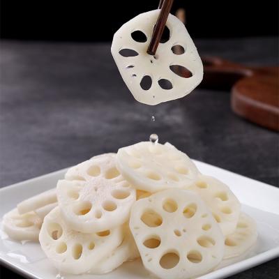 China High quality fresh clean water lotus root for sale for sale