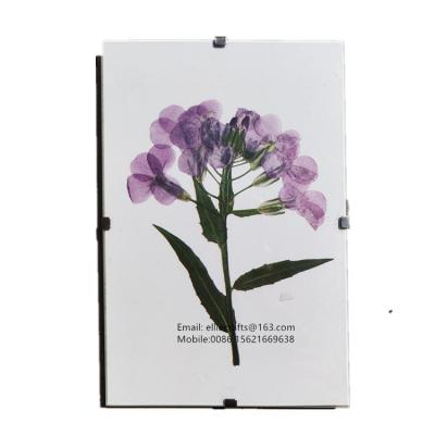 China Cheap frameless plastic glass photo frame 10x15x21x30x40x50x60x70x80x100 home decoration clip 4x6x8x10x12x14x16x20x24x36 for sale